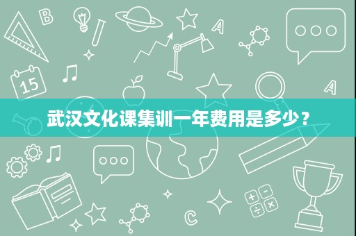 武汉文化课集训一年费用是多少? 武汉文化课集训一年费用是多少?