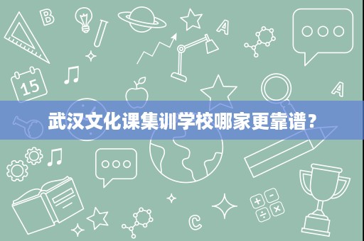 武汉文化课集训学校哪家更靠谱? 武汉文化课集训学校哪家更靠谱?