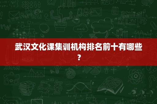 武汉文化课集训机构排名前十有哪些? 武汉文化课集训机构排名前十有哪些?