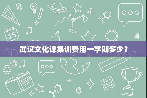 武汉文化课集训费用一学期多少? 武汉文化课集训费用一学期多少?