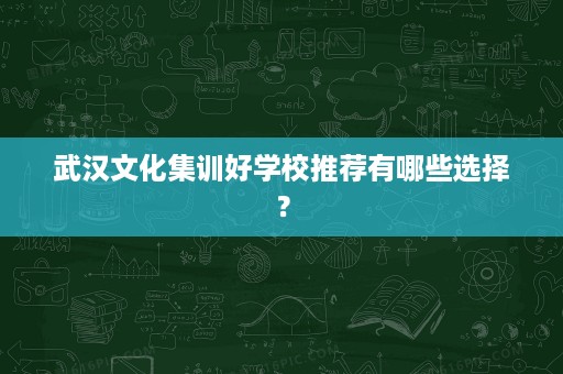 武汉文化集训好学校推荐有哪些选择? 武汉文化集训好学校推荐有哪些选择?