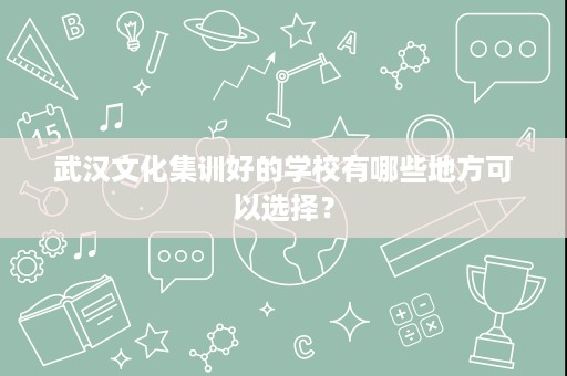 武汉文化集训好的学校有哪些地方可以选择? 武汉文化集训好的学校有哪些地方可以选择?