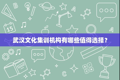 武汉文化集训机构有哪些值得选择? 武汉文化集训机构有哪些值得选择?