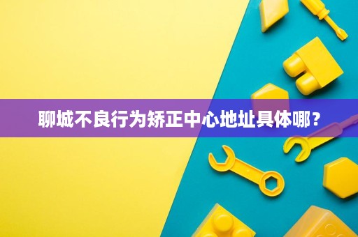 聊城不良行为矫正中心地址具体哪？