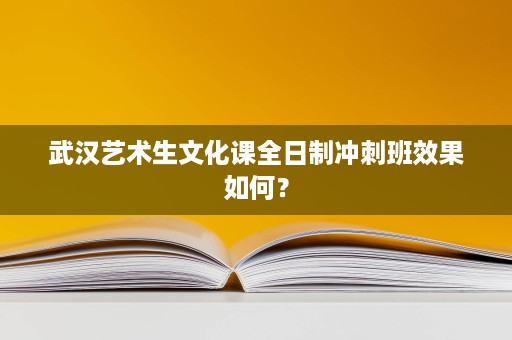 武汉艺术生文化课全日制冲刺班效果如何? 武汉艺术生文化课全日制冲刺班效果如何?