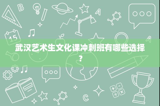 武汉艺术生文化课冲刺班有哪些选择？