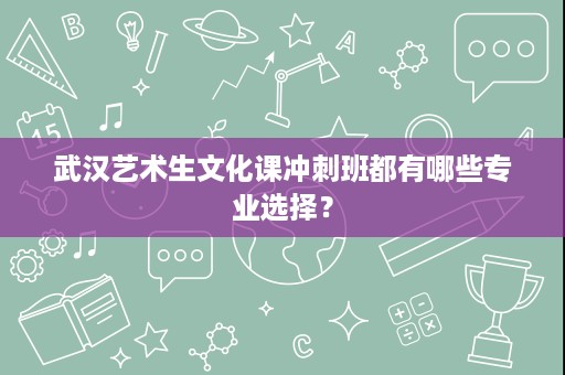 武汉艺术生文化课冲刺班都有哪些专业选择? 武汉艺术生文化课冲刺班都有哪些专业选择?