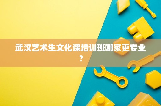 武汉艺术生文化课培训班哪家更专业? 武汉艺术生文化课培训班哪家更专业?
