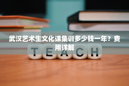 武汉艺术生文化课集训多少钱一年？费用详解