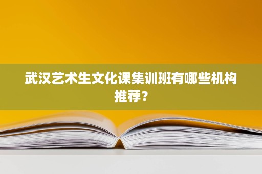 武汉艺术生文化课集训班有哪些机构推荐? 武汉艺术生文化课集训班有哪些机构推荐?