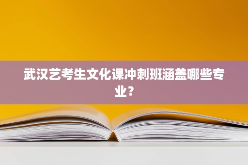 武汉艺考生文化课冲刺班涵盖哪些专业？