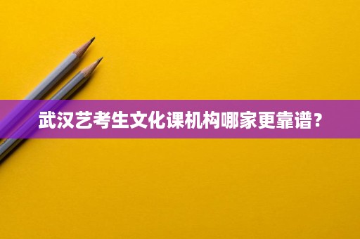 武汉艺考生文化课机构哪家更靠谱? 武汉艺考生文化课机构哪家更靠谱?