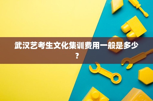 武汉艺考生文化集训费用一般是多少？