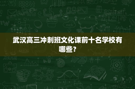 武汉高三冲刺班文化课前十名学校有哪些？
