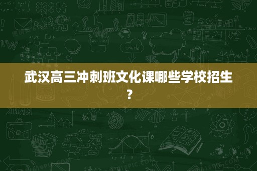 武汉高三冲刺班文化课哪些学校招生? 武汉高三冲刺班文化课哪些学校招生?