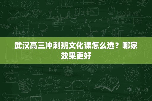 武汉高三冲刺班文化课怎么选？哪家效果更好