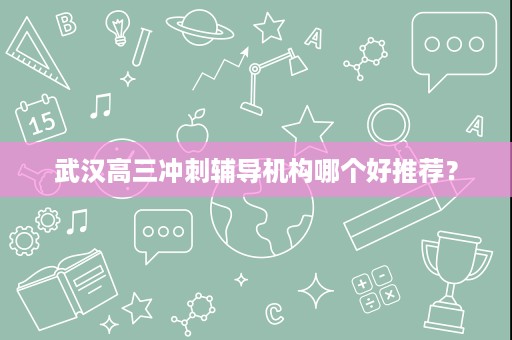 武汉高三冲刺辅导机构哪个好推荐? 武汉高三冲刺辅导机构哪个好推荐?