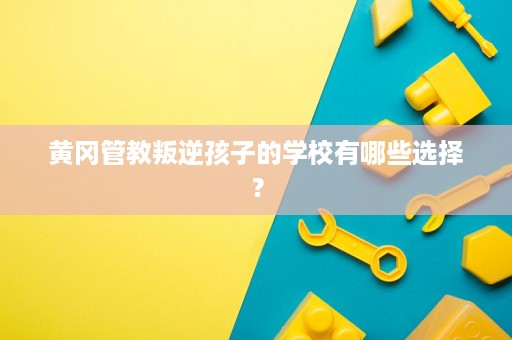 黄冈管教叛逆孩子的学校有哪些选择？