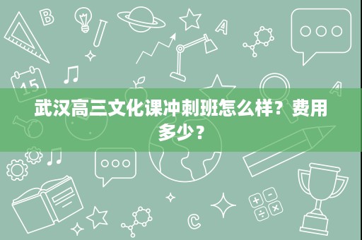 武汉高三文化课冲刺班怎么样?费用多少? 武汉高三文化课冲刺班怎么样?费用多少?