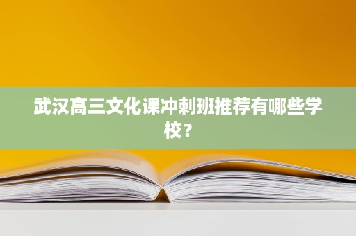 武汉高三文化课冲刺班推荐有哪些学校? 武汉高三文化课冲刺班推荐有哪些学校?