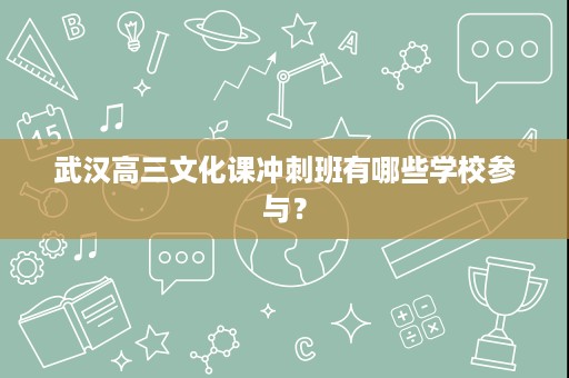 武汉高三文化课冲刺班有哪些学校参与? 武汉高三文化课冲刺班有哪些学校参与?