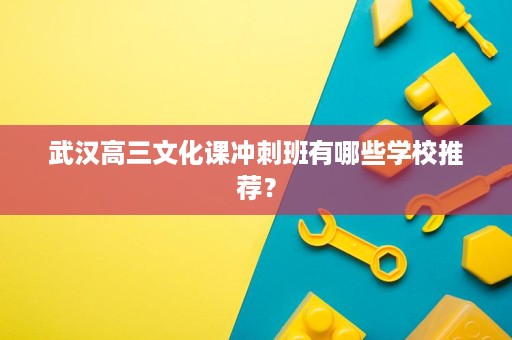 武汉高三文化课冲刺班有哪些学校推荐? 武汉高三文化课冲刺班有哪些学校推荐?