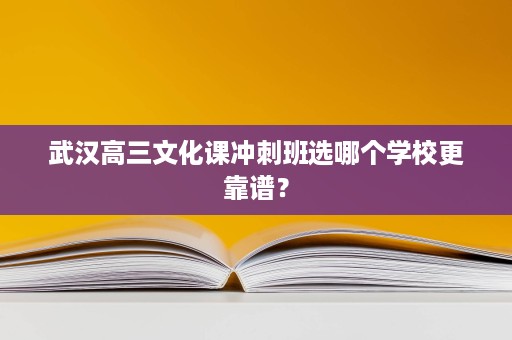 武汉高三文化课冲刺班选哪个学校更靠谱? 武汉高三文化课冲刺班选哪个学校更靠谱?