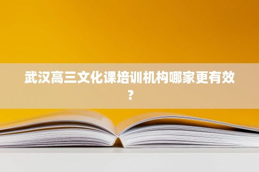 武汉高三文化课培训机构哪家更有效? 武汉高三文化课培训机构哪家更有效?
