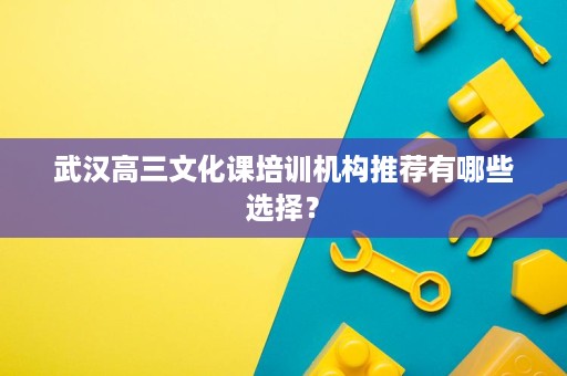 武汉高三文化课培训机构推荐有哪些选择? 武汉高三文化课培训机构推荐有哪些选择?