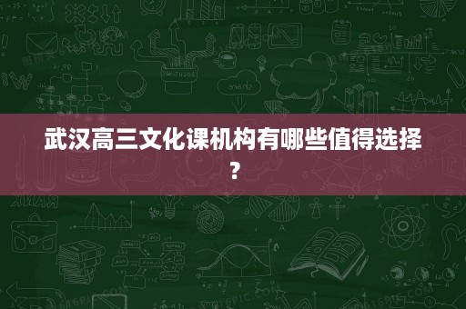 武汉高三文化课机构有哪些值得选择? 武汉高三文化课机构有哪些值得选择?