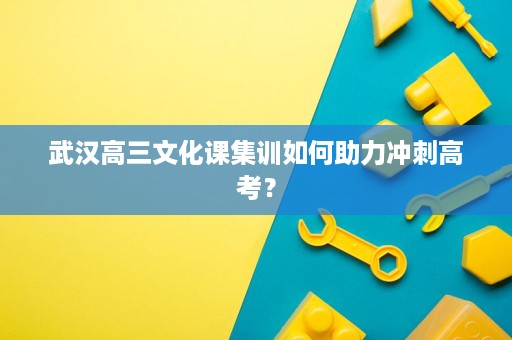 武汉高三文化课集训如何助力冲刺高考? 武汉高三文化课集训如何助力冲刺高考?