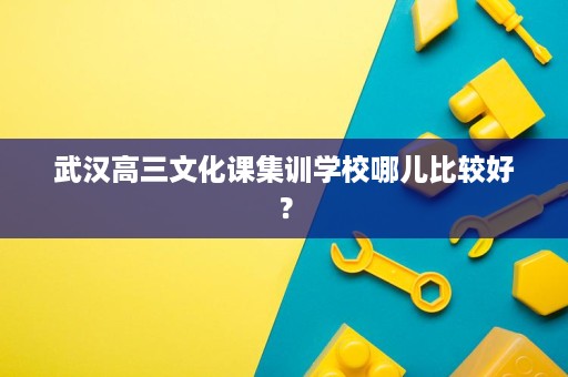 武汉高三文化课集训学校哪儿比较好? 武汉高三文化课集训学校哪儿比较好?