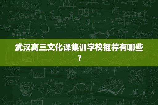 武汉高三文化课集训学校推荐有哪些？