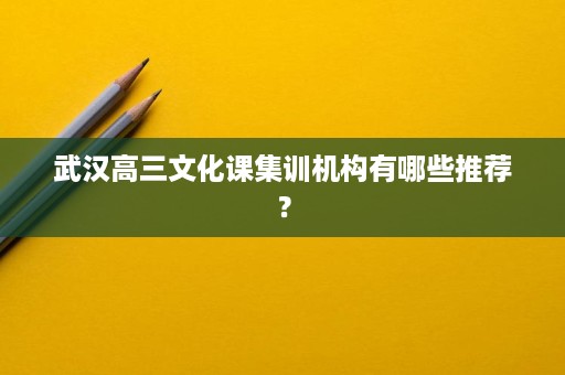 武汉高三文化课集训机构有哪些推荐？
