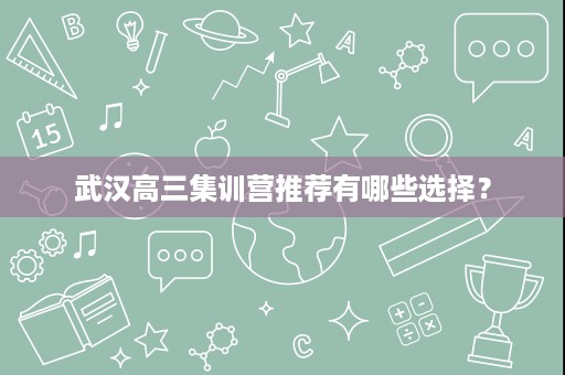 武汉高三集训营推荐有哪些选择？
