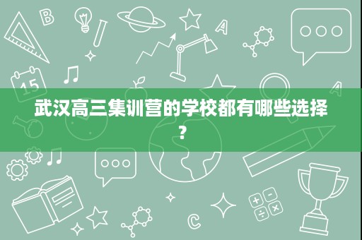 武汉高三集训营的学校都有哪些选择? 武汉高三集训营的学校都有哪些选择?