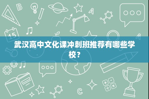 武汉高中文化课冲刺班推荐有哪些学校? 武汉高中文化课冲刺班推荐有哪些学校?