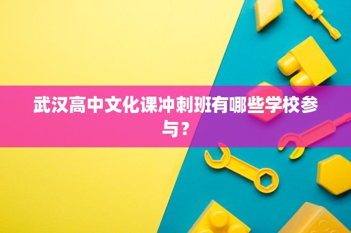 武汉高中文化课冲刺班有哪些学校参与? 武汉高中文化课冲刺班有哪些学校参与?