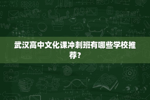武汉高中文化课冲刺班有哪些学校推荐? 武汉高中文化课冲刺班有哪些学校推荐?