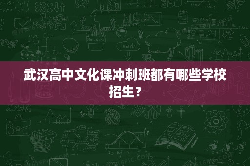 武汉高中文化课冲刺班都有哪些学校招生? 武汉高中文化课冲刺班都有哪些学校招生?