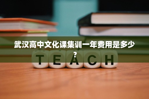 武汉高中文化课集训一年费用是多少？