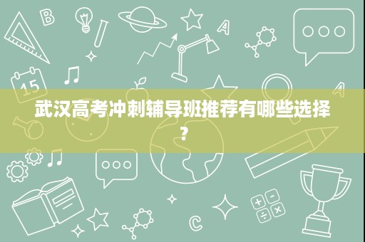 武汉高考冲刺辅导班推荐有哪些选择？