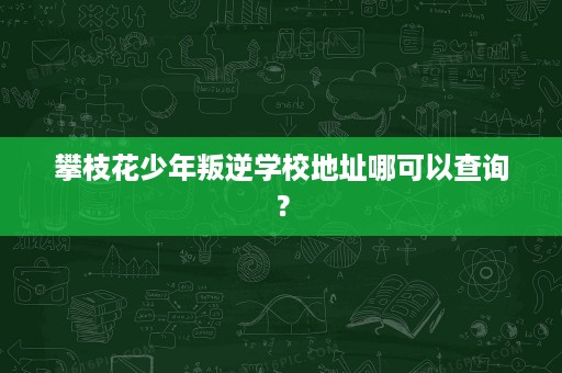 攀枝花少年叛逆学校地址哪可以查询? 攀枝花少年叛逆学校地址哪可以查询?