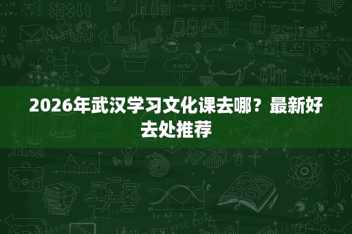 2026年武汉学习文化课去哪？最新好去处推荐