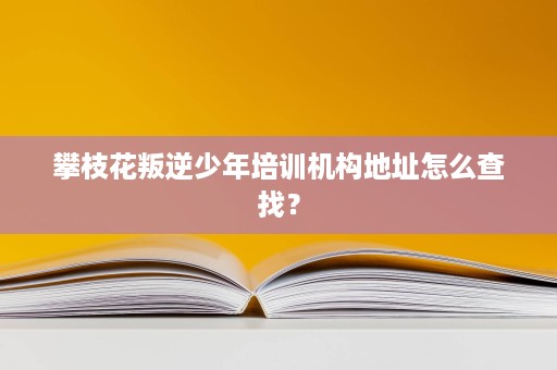 攀枝花叛逆少年培训机构地址怎么查找? 攀枝花叛逆少年培训机构地址怎么查找?