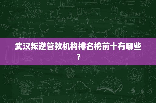 武汉叛逆管教机构排名榜前十有哪些? 武汉叛逆管教机构排名榜前十有哪些?