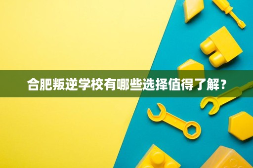 合肥叛逆学校有哪些选择值得了解? 合肥叛逆学校有哪些选择值得了解?