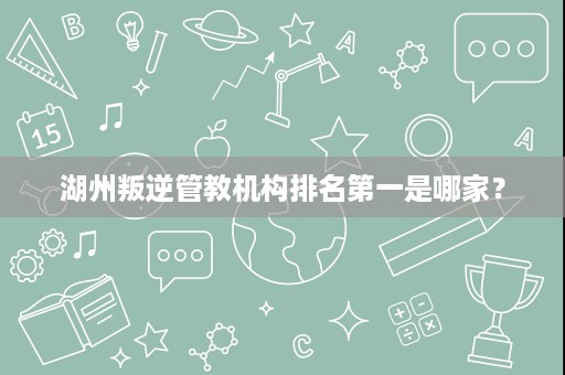 湖州叛逆管教机构排名第一是哪家? 湖州叛逆管教机构排名第一是哪家?