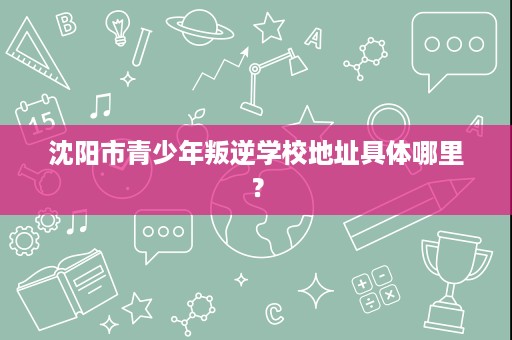 沈阳市青少年叛逆学校地址具体哪里? 沈阳市青少年叛逆学校地址具体哪里?