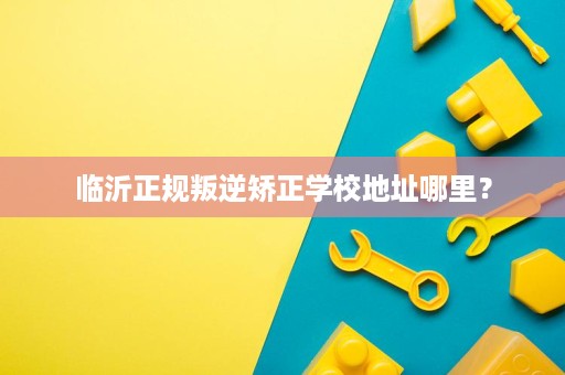 临沂正规叛逆矫正学校地址哪里？